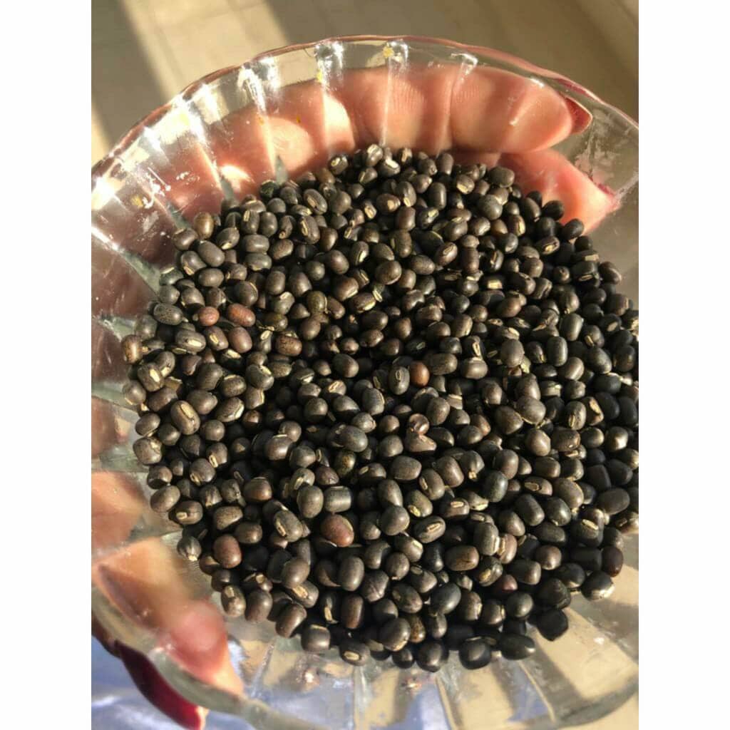 Balaayah Black Gram Body Booster שמן גוף iYURA