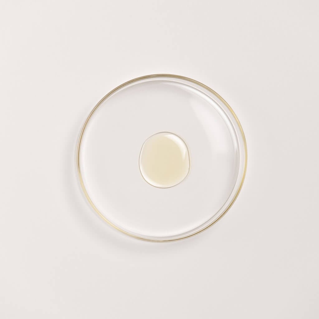 פעולת לחות, מיצוק וחיטוב אינטנסיבית של Black Gram