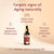 Manjish Glow Elixir – לעור לא אחיד וזוהר לאורך הלילה 