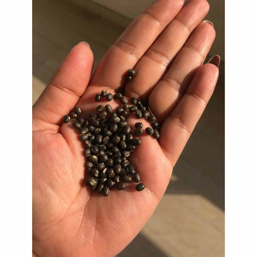 Balaayah Black Gram Body Booster שמן גוף iYURA 