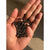 Balaayah Black Gram Body Booster שמן גוף iYURA 