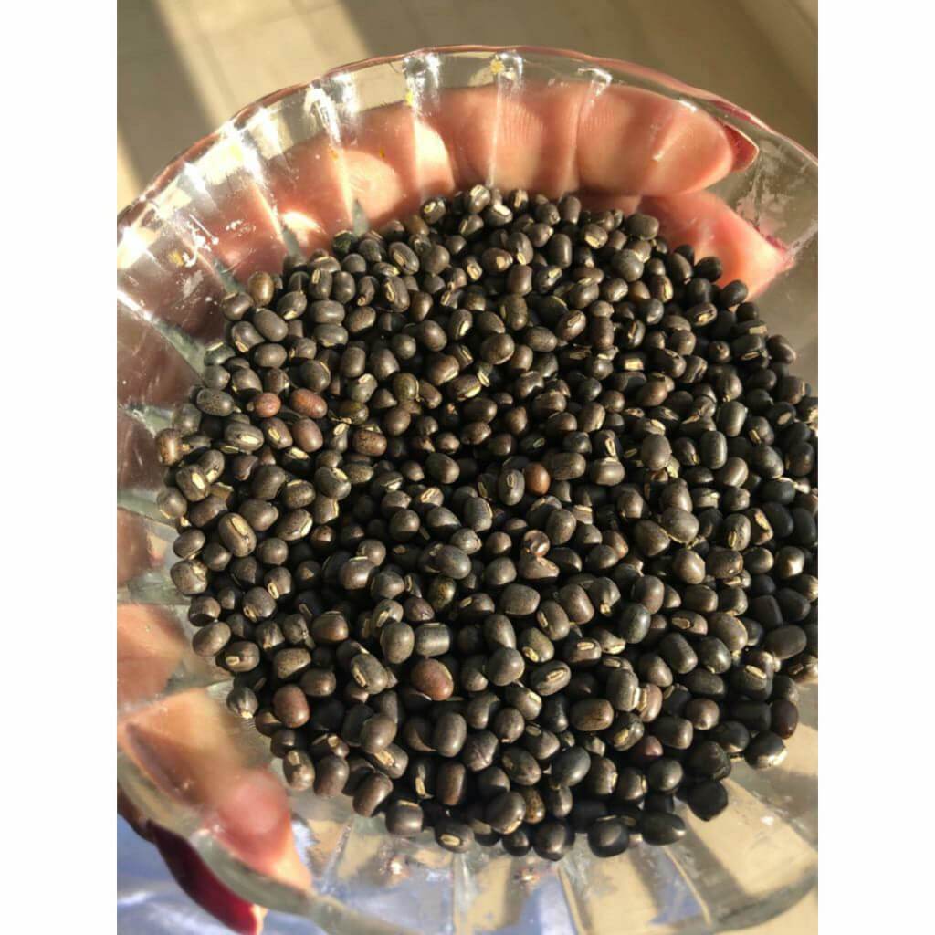 Balayah Black Gram Bright Body Booster - עם ארומה מתוקה והדרים של יסמין, הל, תפוז ולימונית - חבילה של 2 שמני גוף iYURA 